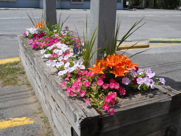 Flower Bed